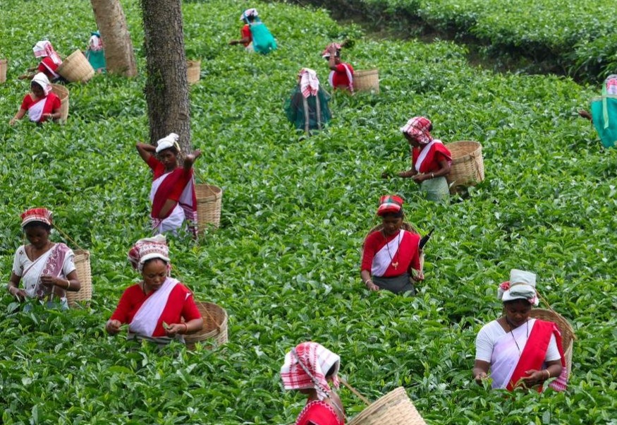 Guwahati–Tezpur highway corridor to boost Assam’s tea, tourism and trade